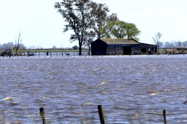 Consecuencias de la lluvia: Provincia declaró el “desastre agropecuario” en distrito del Interior