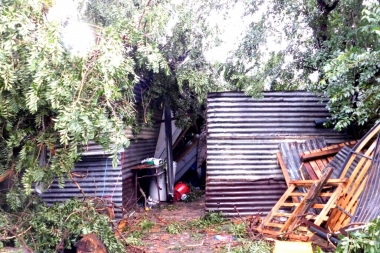 Dos muertos en La Plata tras el paso del feroz temporal: destrozos en el Estadio Único