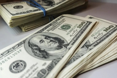 Crisis cambiaria: tras rozar los 30 pesos, el dólar arrancó la semana en baja