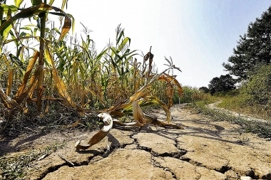 Siguen las consecuencias de la sequía: las exportaciones en la Provincia cayeron 29,8% interanual