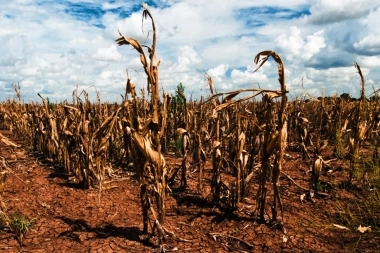 Kicillof volvió a exigirle a Milei que homologue el estado de emergencia agropecuaria