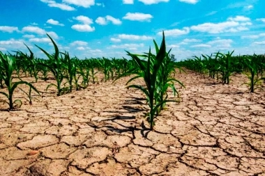 Más beneficios para productores bonaerenses afectados por la emergencia agropecuaria