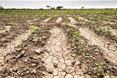 Efecto sequía: el ingreso de dólares de la agroindustria cayó a niveles récord