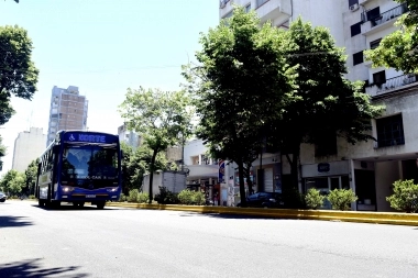 Transporte público La Plata: por inicio de temporada empiezan a regir horarios de verano