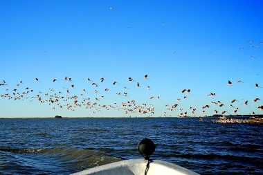 Destinos bonaerenses: paisajes, pesca y paseos en lancha en las lagunas de Guaminí