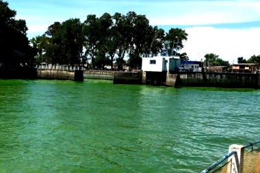 Las algas verdes llegaron a Punta Lara: suspenden el suministro de agua en La Plata