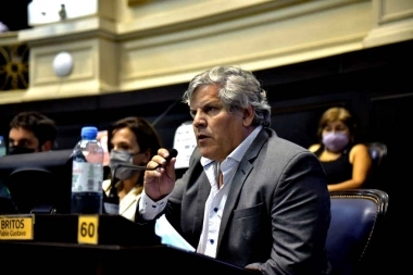 En la sesión, Britos reflexionó: “Ojalá sea una oportunidad para que se termine la grieta”