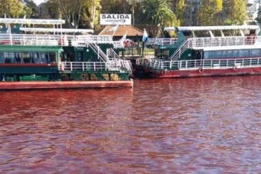 Preocupante: confirman que un "vuelco clandestino" tiñó de rojo el río en Tigre