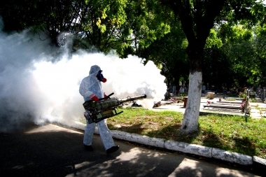 Suman 80 los casos de dengue en la Provincia y confirmaron circulación comunitaria