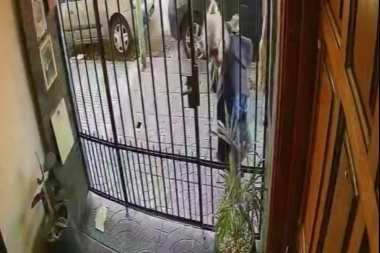 Mala convivencia en la Ciudad: denuncian a una mujer que les roba las plantas a los vecinos