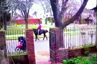 Llamen a un Sheriff: un sujeto a caballo asaltó a una motoquera