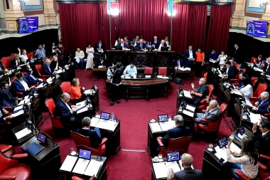 Última sesión en el Senado Bonaerense: declaraciones por Bolivia y homenaje a legisladores salientes