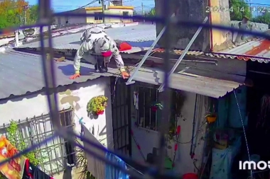 Un ladrón contorsionista se metió por la puerta para los caniches y robó una casa en Merlo