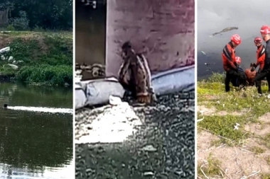 Rambo platense: para escapar de la policía nadó entre los excrementos del arroyo El Gato