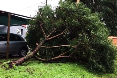 Por el temporal, concejales piden a Bragado que se declaren en estado de emergencia