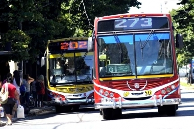 En el día de las elecciones, habrá transporte público y gratuito para ir a votar