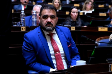 Luayza repudió los vetos de Milei al financiamiento universitario y a la emergencia en pediatría