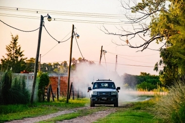 Temporada de mosquitos: San Vicente amplió los operativos de fumigación en el distrito