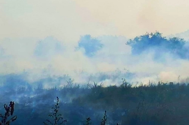 Seis días de fuego y humo: vecinos enfermos e intoxicados por la quema de pastizales en un frigorífico