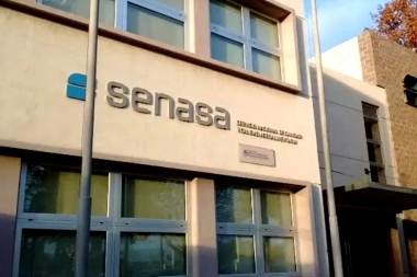 Ola de despidos en el horizonte bonaerense: Milei cerró 20 oficinas de SENASA