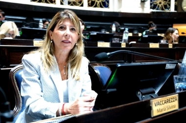 Vaccarezza pidió gestionar “eficientemente” los Fondos Fiduciarios para no repetir “errores del pasado”