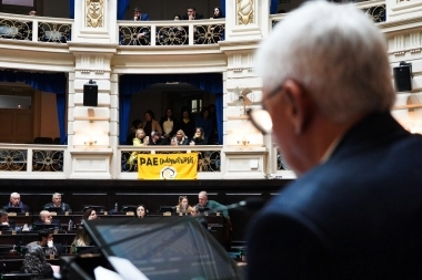 Diputados de la Provincia: Dichiara celebró la aprobación de Empresas de Emergencias estatales