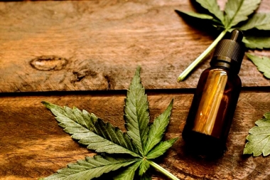 El Gobierno Nacional reglamentó el autocultivo de cannabis medicinal y creó un registro