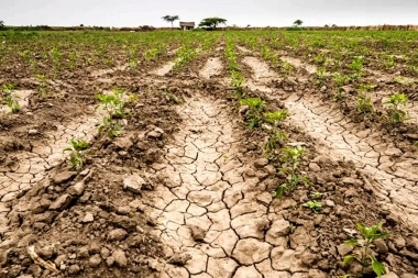 Continúa la sequía: Senadores de Juntos pidieron ayuda de la Provincia para Productores Rurales