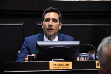 Tras una larga polémica, Passaglia tuvo que dejar su banca y la UCR ocupará su lugar