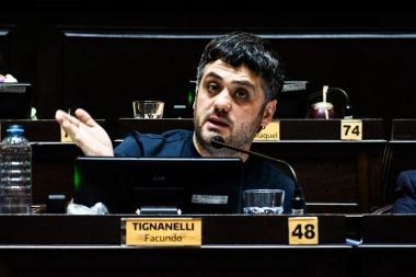 Sigue la tensión en el peronismo: en Diputados, La Cámpora también presiona con las elecciones concurrentes