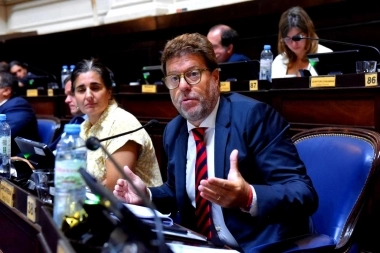 Garciarena condenó a Milei por sus dichos contra Alfonsín y le pidió que no “debilite” la democracia