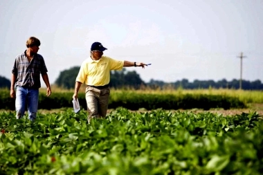 Kicillof ganó en el Interior, aunque desde el campo aseguraron que no fueron influyentes en la elección