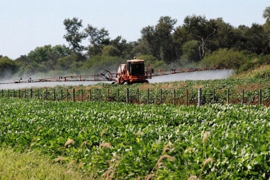 Peligro agrotóxicos: encuentran insecticidas en el agua potable de Claromecó y Tres Arroyos