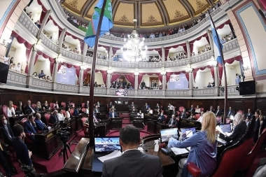 En vivo: el Senado bonaerense estrena comisiones con una sesión ordinaria