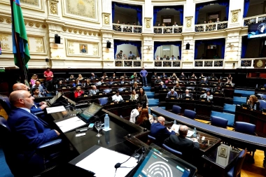 Diputados sesionó: homenajeó al Papa, pero volvió a postergar la suspensión de las PASO