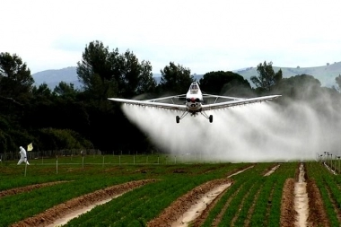 La Justicia prohibió el uso de agroquímicos terrestres en municipio bonaerense