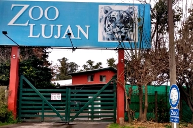 La Defensoría realizó denuncia penal contra el dueño del zoológico de Luján