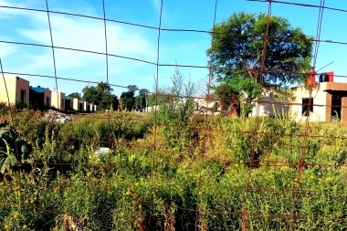 Terreno en disputa: fuertes acusaciones entre la empresa Arcor y el Municipio de San Pedro