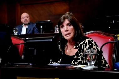 Una senadora bonaerense bajó a Alberto Fernández de una candidatura presidencial