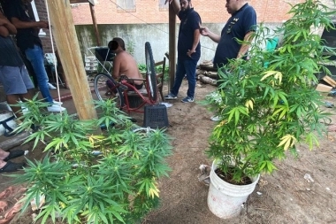 Villa Gesell: cayó "Miguelito", hacía delivery de estupefacientes y en la casa cultivaba marihuana