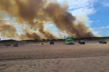 Feroz incendio en una zona de bosques en el límite de Villa Gesell y Mar de las Pampas