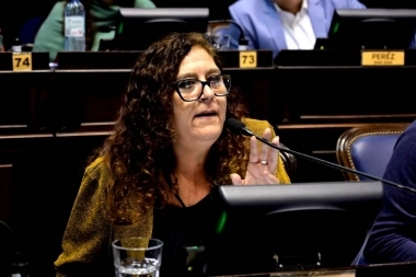 En una sesión caliente, Susana González cuestionó al oficialismo e insultó a la oposición