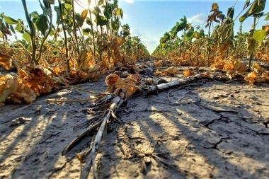 La Provincia amplió la emergencia agropecuaria por la sequía