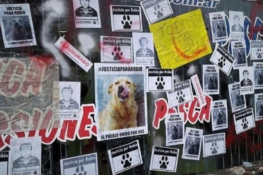 Manifestación frente al Congreso por el cruel asesinato de un perro en Mar del Tuyú