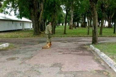 El peor final: encontraron muerto al militar acusado de maltratar y matar un perro