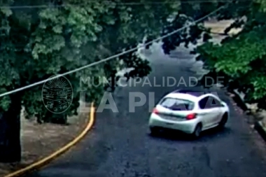 Video: chocó contra un árbol y su auto quedó destruido