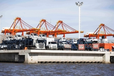 Conexión con Estados Unidos y Caribe: Puerto La Plata tendrá nuevas rutas comerciales