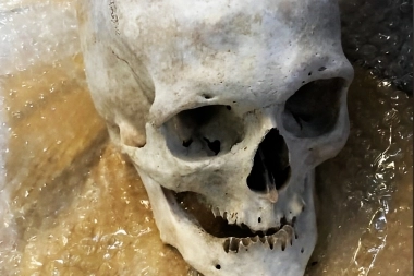 Macabro: encontraron una calavera humana que se dirigía a los Estados Unidos en encomienda