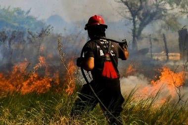 Mar del Plata advirtió un “muy alto” riesgo de incendio forestales para el fin de semana