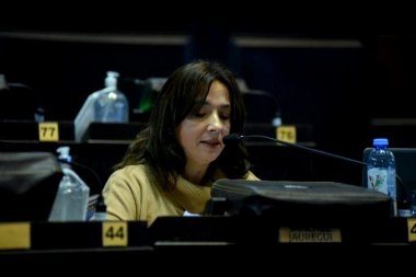 Diputados bonaerenses acordaron impulsar un proyecto que facilite las exportaciones